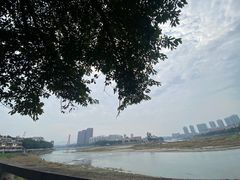 -平安桥张氏肥肠粉