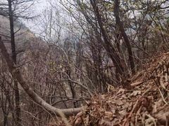 -崂山九水游览区