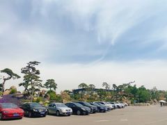 -罗红摄影艺术馆