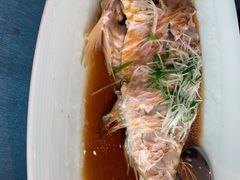 -闽海肴(北辰荟店)