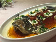 -香然会·园林雅宴(陆家嘴店)