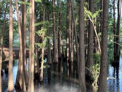 -东湖落雁景区