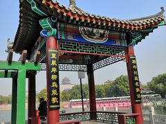 -莲花池公园