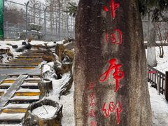-横道河子东北虎林园