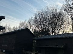 -祥源·阜阳生态乐园