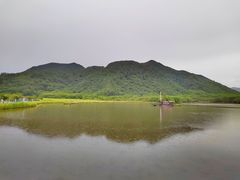 -大九湖