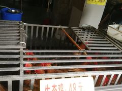 -老幺泉水鸡