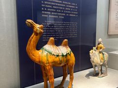 -镇江博物馆