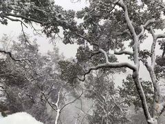 -塔云山
