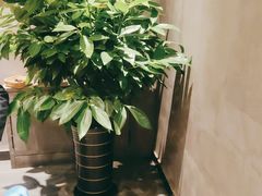 -鸽子窝(宋庄店)