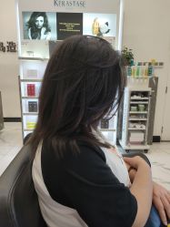 -YESIDO椰岛造型