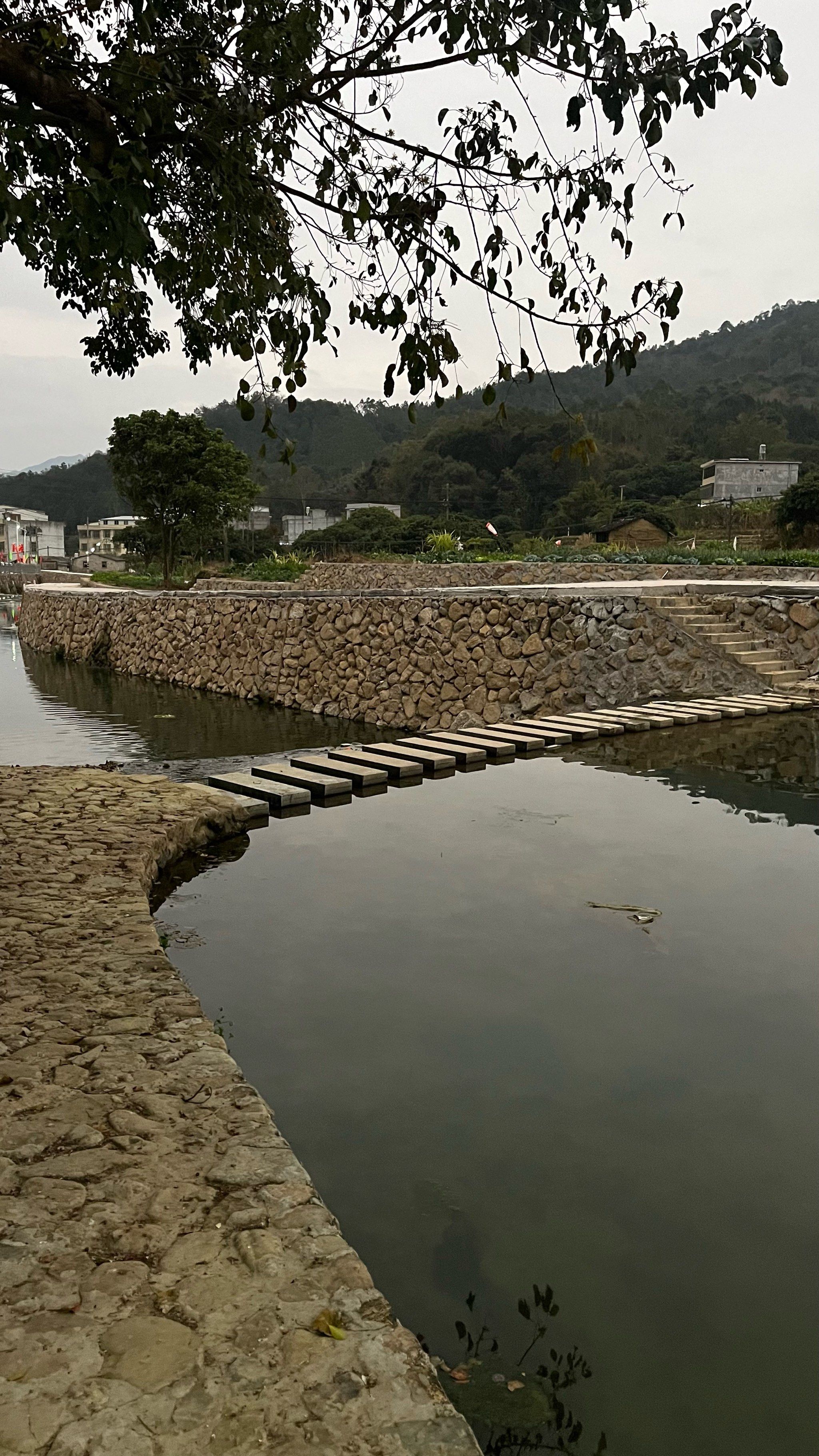 漳州市大溪镇樟树背