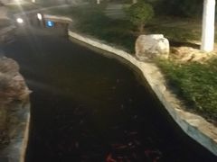 -北京国家会计学院