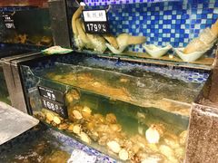 水产区-浩运·海鲜青岛菜·海胆水饺(石老人店)