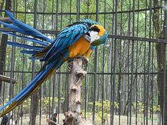 -北京野生动物园