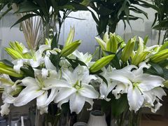 -亭亭鲜花店(中山北路店)