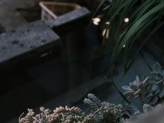 -马帮菜馆·美味野生菌