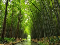 -同里国家湿地公园