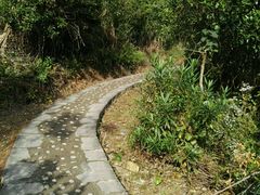 -花岙岛