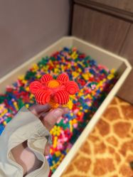 -卡通尼·Safari非洲探索乐园·生日会(金桥国际商业广场店)