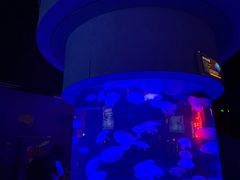 -太平洋海底世界