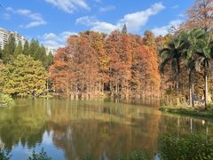 -中国科学院华南植物园