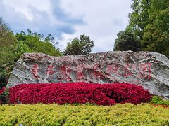 -东平国家森林公园