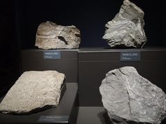 -湖南省地质博物馆