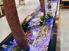 -松沪名灶·豆浆鱼头·新上海菜(飞航吾悦广场店)