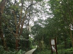 -广西壮族自治区药用植物园