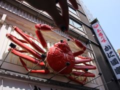 -蟹道乐(道顿堀本店)