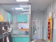 -中农大我爱我爱24h动物医院·中医针灸·猫专科·骨科医疗中心(双井店)