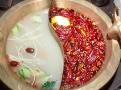 特色鸳鸯锅-锅说大脸毛肚重庆老火锅(佐阾店)
