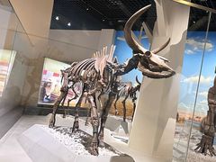 -国家自然博物馆