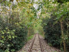 -合肥滨湖国家森林公园