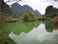 -靖西鹅泉风景区