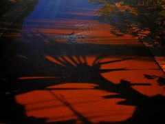 -白沙门生态公园