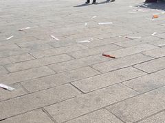 -悦城龙母祖庙