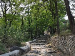 -阳台山自然风景区