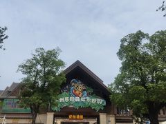 -苏州乐园森林水世界