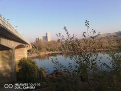 -小绿谷公园