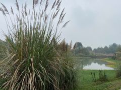 -桤木河湿地公园