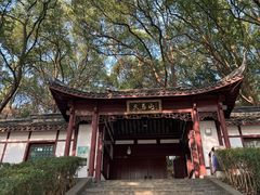 -上海佘山国家森林公园天马山园