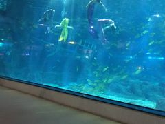 -福州罗源湾海洋世界旅游区