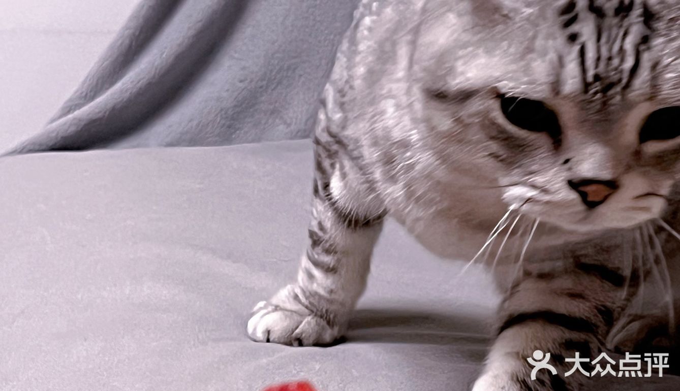 原來喝咖啡也會讓人醉生夢死！