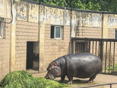 -合肥野生动物园