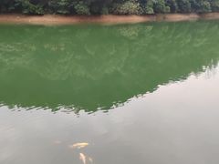 -桃花岭景区