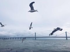 -星海广场