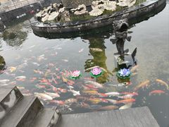 -上海东林寺(金山区)