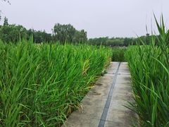 -中关村生命科学园